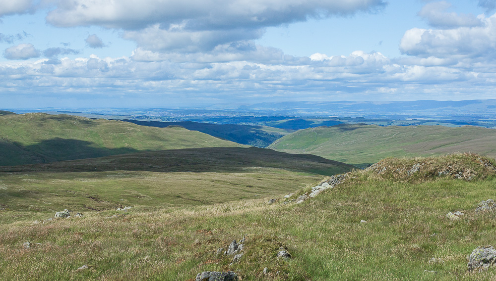 Crookdale Crookdale